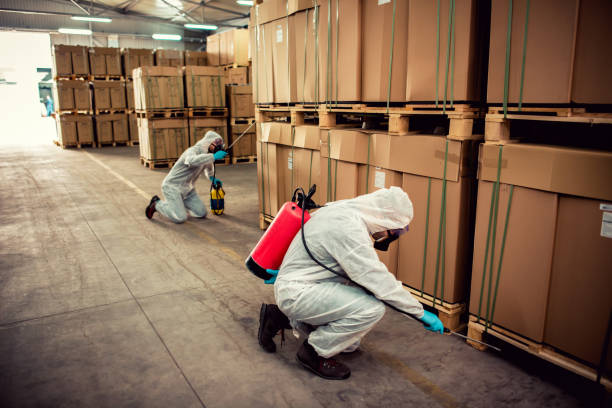 Best Pest Control Near Me in Platte City, MO