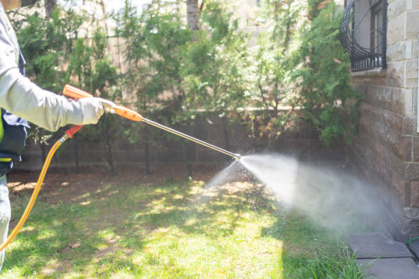 Professional Pest Control in Platte City, MO
