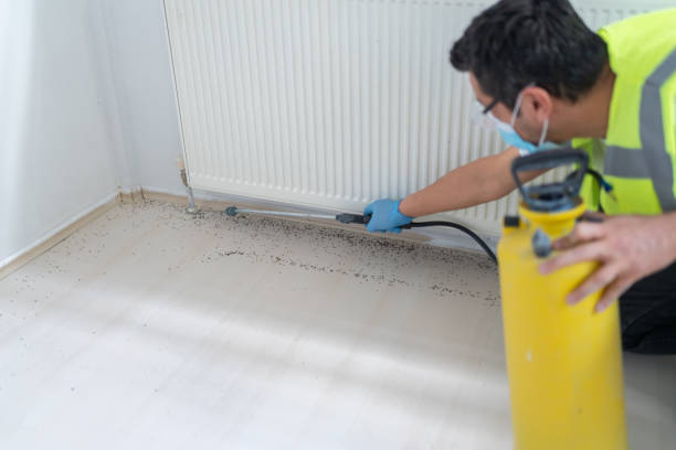 Best Bed Bug Extermination  in Platte City, MO